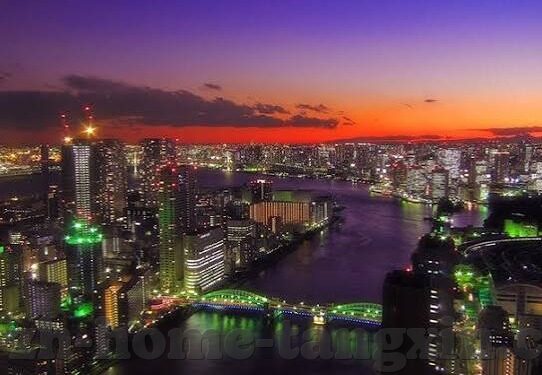 大象传媒18勿进大-象牙塔下的警钟，大象传媒18勿进大