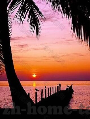 丽人保镖中文字幕-丽人保镖，守护与陪伴的艺术