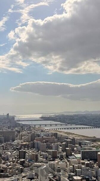 伦理小说免费阅读-伦理小说，免费阅读的魅力与价值
