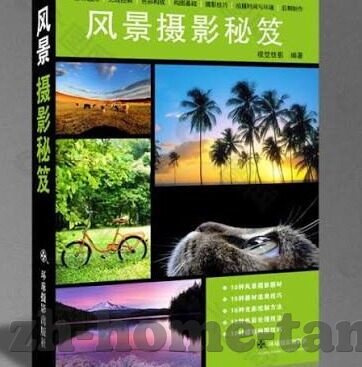 免费视频麻豆-免费视频麻豆，网络文化的双刃剑与新时代消遣现象浅析
