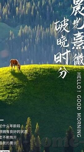 日韩av无线吗-探索日韩AV文化，无线的魅力与多元视角