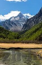 糖心app苹果版免费-尽享非凡体验，解锁糖心APP的乐趣