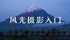 糖心直播app主页-探索糖心直播app主页的多元魅力与实用功能